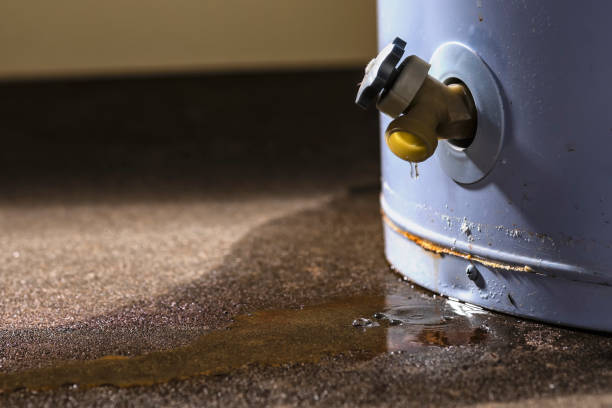 Best Local water damage restoration  in Secy, AR