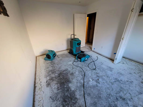 Best Flood restoration services  in Secy, AR