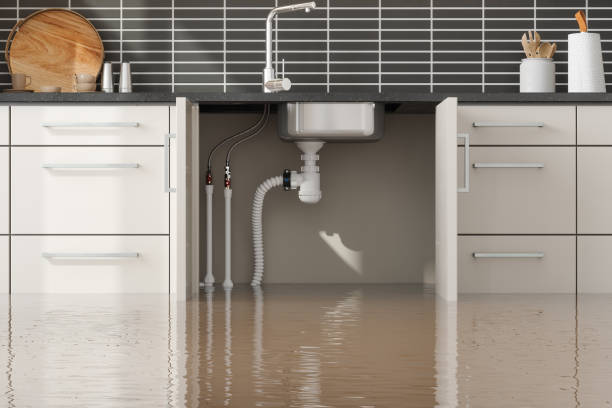 Best Water damage contractors near me  in Secy, AR